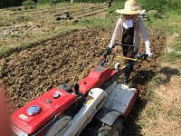 2015 paddy field taokoshi2.jpg(43255 byte)